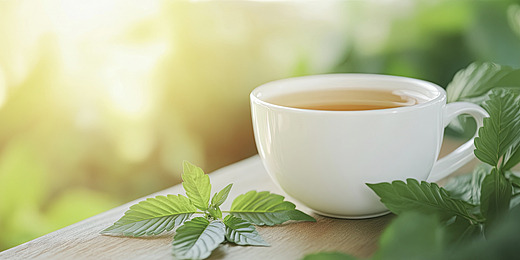 Lưu ý khi dùng trà bạc hà tránh tụt huyết áp