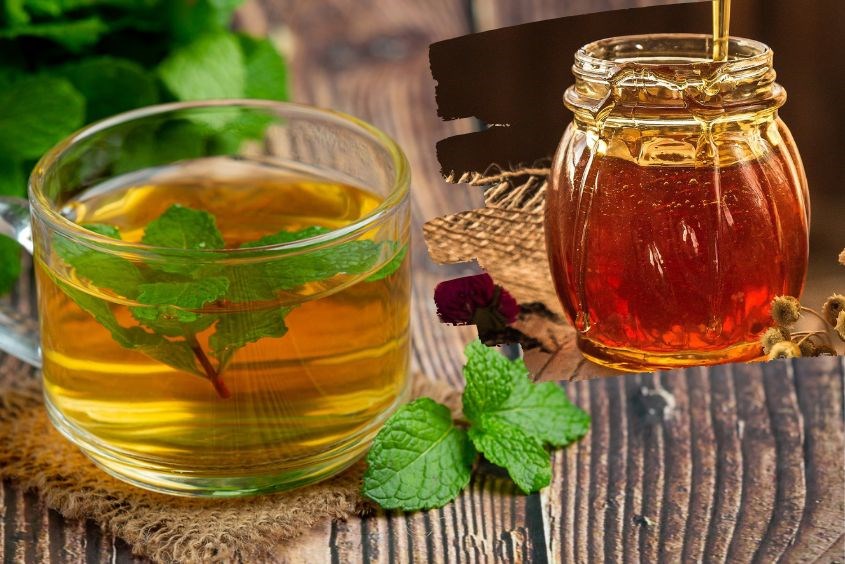 Người mới dùng trà bạc hà gặp vấn đề gì ?
