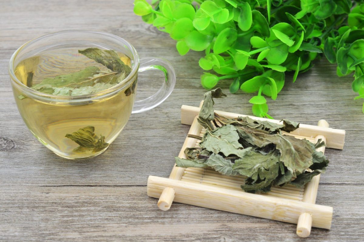Cách sử dụng trà bạc hà hiệu quả
