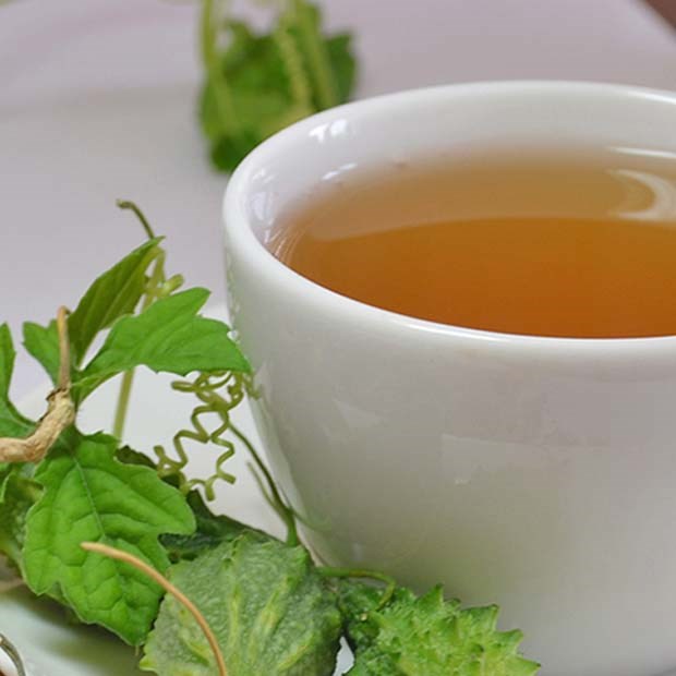 Người cao tuổi có dùng trà túi lọc khổ qua rừng được không ?