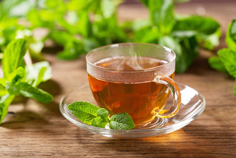 Cách pha trà túi lọc dây thìa canh