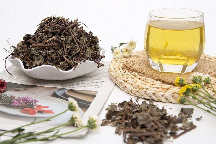 Công dụng của trà túi lọc chè dây tại TP.HCM