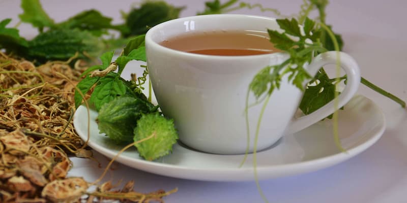 Lo ngại về hương vị trà túi lọc khổ qua rừng