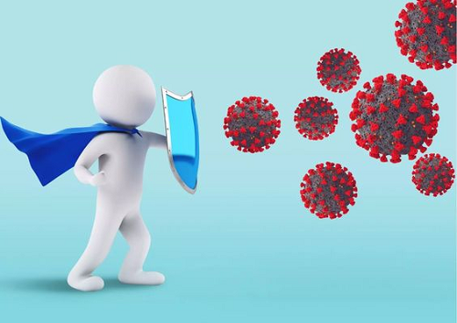 Lợi ích của trà túi lọc khổ qua rừng giúp tăng cường hệ miễn dịch