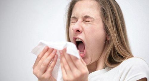 Trà bạc hà hỗ trợ giải cảm lạnh