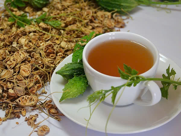 Vì sao cần quan tâm đến thời điểm dùng trà túi lọc khổ qua rừng ?
