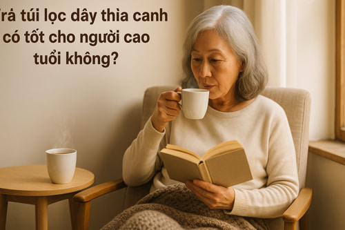 Người cao tuổi dùng trà túi lọc dây thìa canh