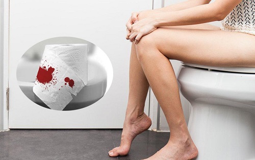 Trà lá đơn đỏ trị đại tiện ra máu