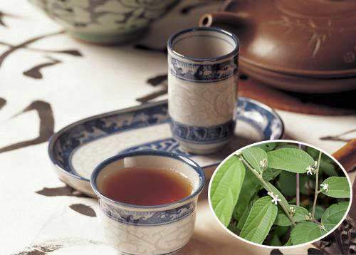 Cách dùng trà an xoa cho người đau dạ dày