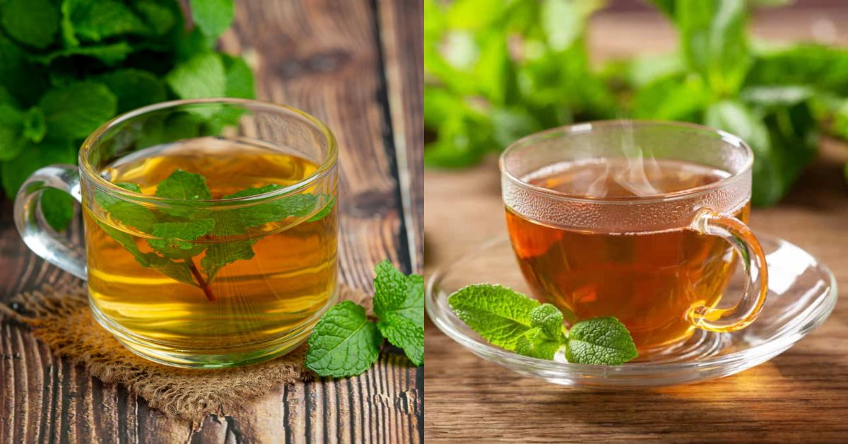 Cách dùng trà bạc hà cho người mắc bệnh tim