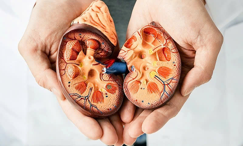Suy thận là gì ?