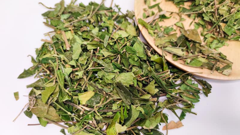 Quy trình sấy khô dây thìa canh