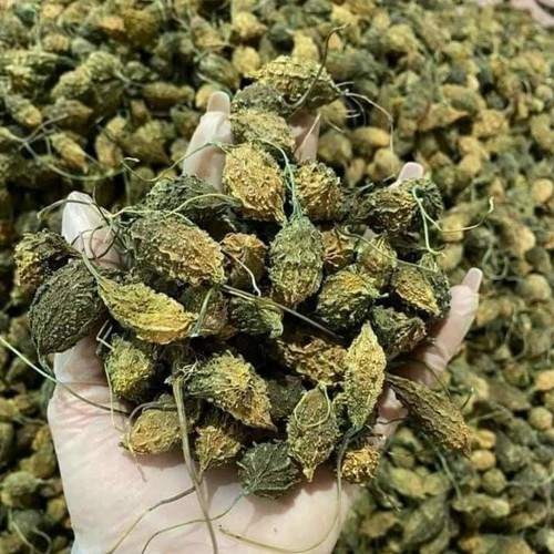 Quy trình sản xuất trà khô qua rừng là sấy khô bằng công nghệ hiện đại