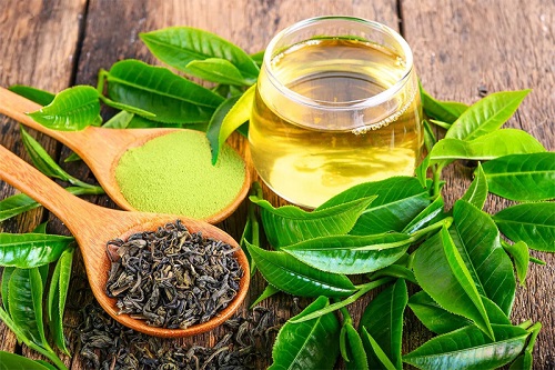 Thời điểm uống trà túi lọc dây thìa canh trước khi ăn 30p