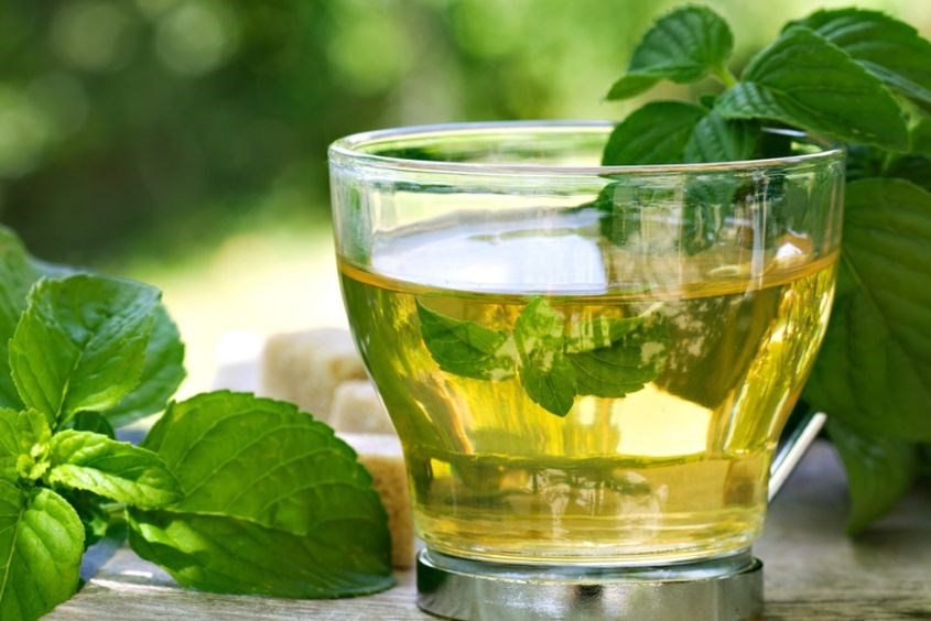Uống trà bạc hà bao lâu có tác dụng ?