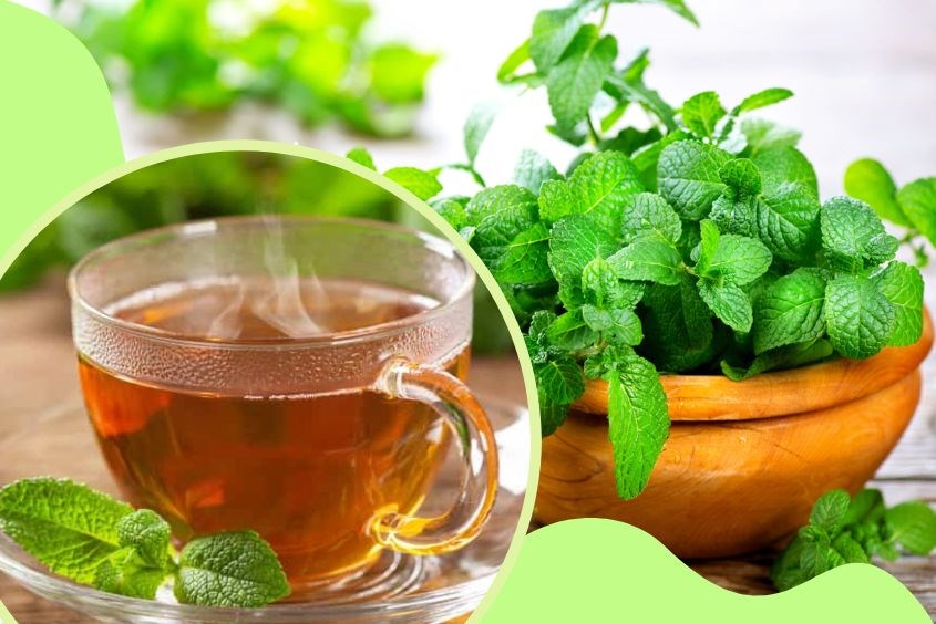 Cách dùng trà bạc hà cho dân văn phòng