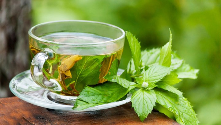 Lưu ý khi dùng trà bạc hà detox cơ thể