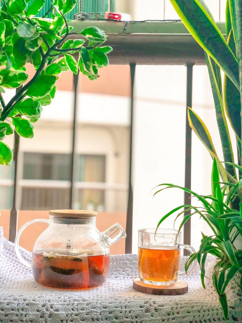 Lưu ý khi dùng trà cà gai leo