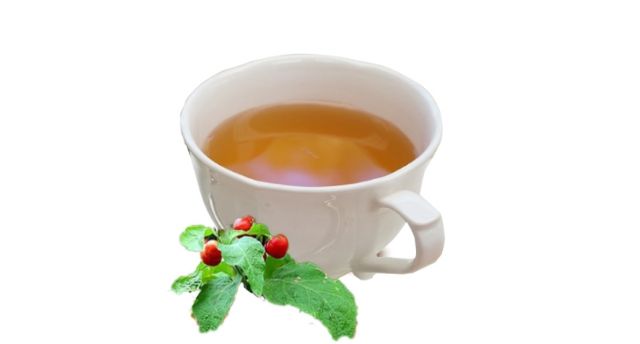 Lưu ý khi dùng trà cà gai leo cho người viêm gan B