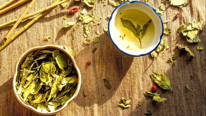 Uống trà túi lọc dây thìa canh tránh tác dụng phụ ?