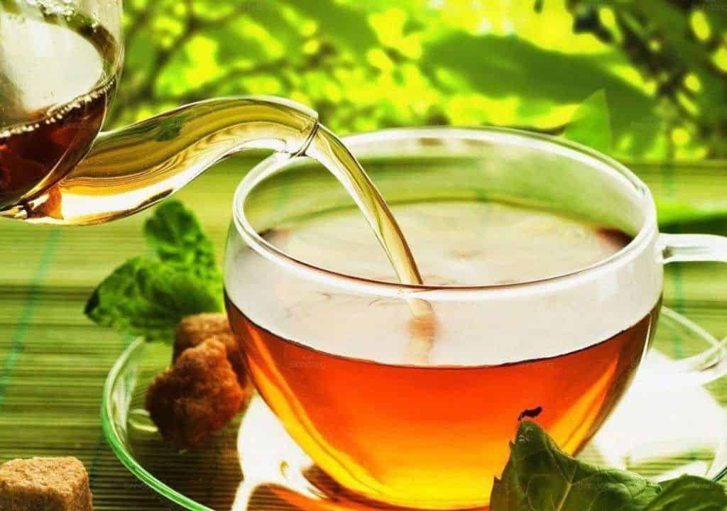 Lưu ý khi dùng trà cà gai leo cho trẻ em