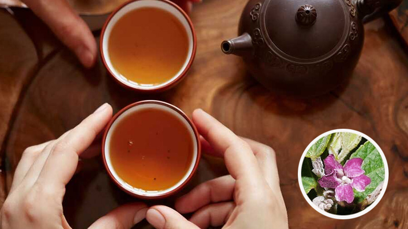 Vị của trà túi lọc an xoa
