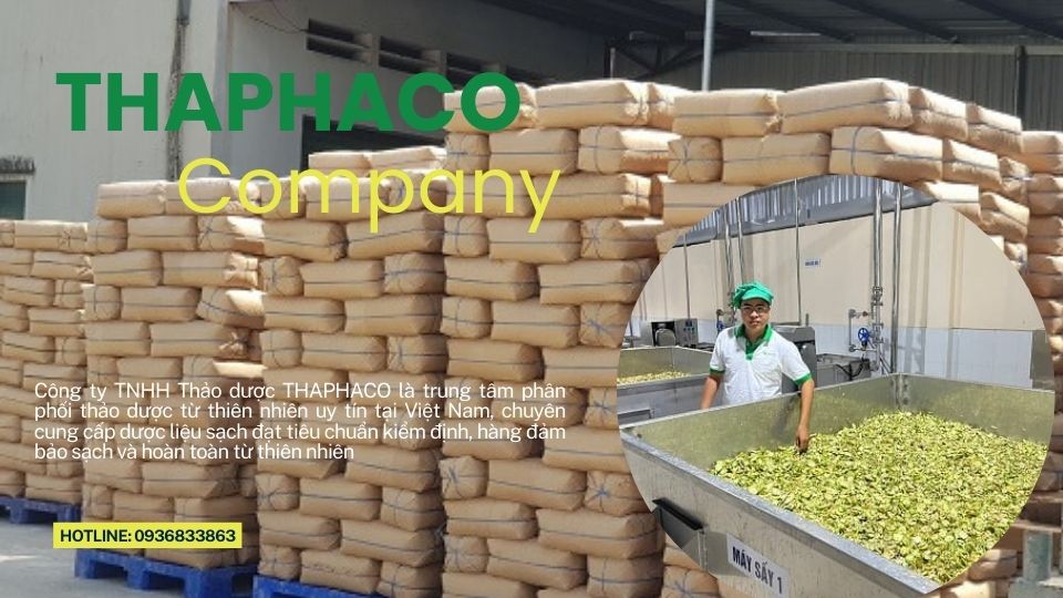 Công Ty Thaphaco cung cấp thiên niên kiện tại TP.HCM
