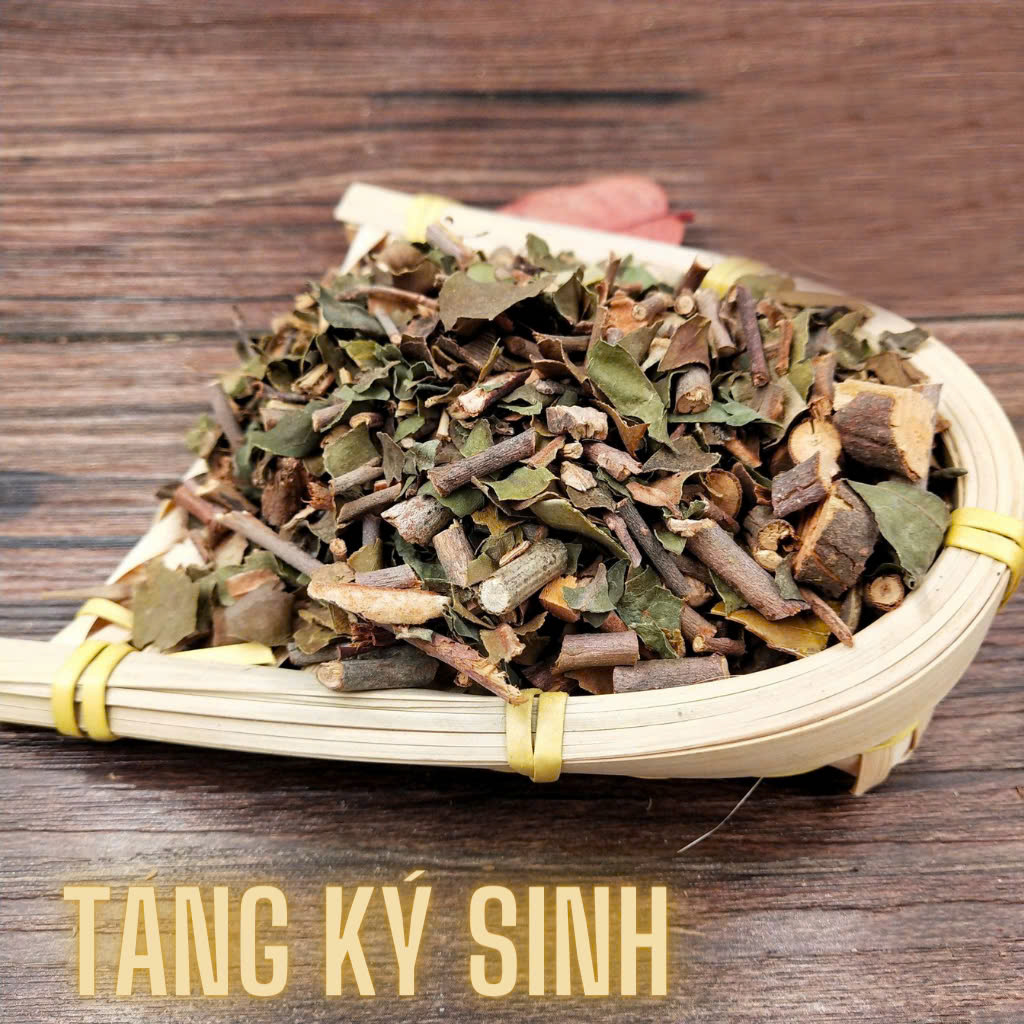Công dụng của tầm gửi cây dâu tại TP.HCM