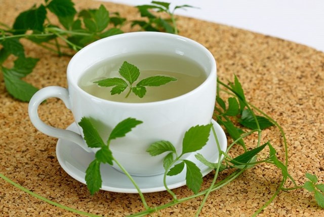 Tác dụng của trà túi lọc giảo cổ lam 
