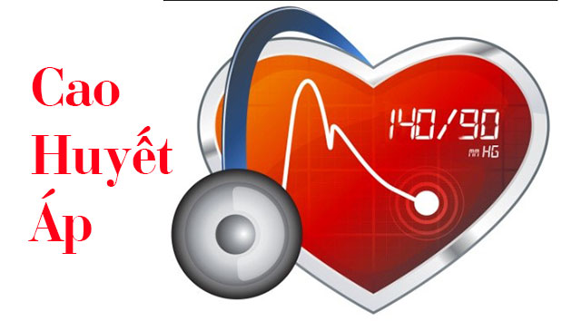 Lợi ích của trà túi lọc giảo cổ lam điều hòa huyết áp