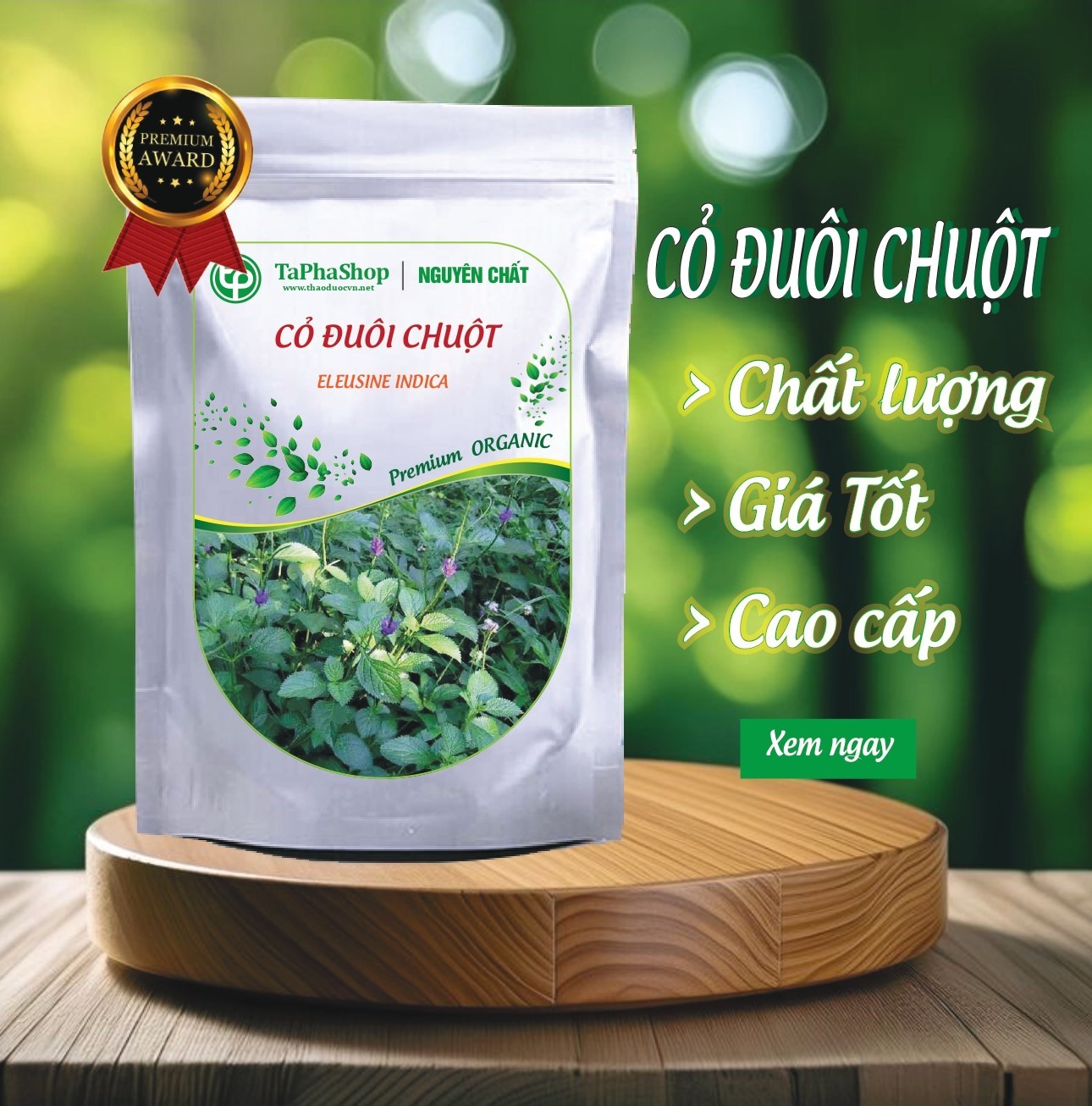 Giới thiệu cỏ đuôi chuột của Tấn Phát