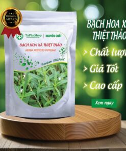 Giới thiệu về bạch hoa xà thiện thảo của Tấn Phát