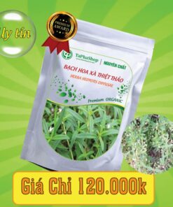 Tác dụng của bạch hoa xà thiện thảo đối với ung thư gan