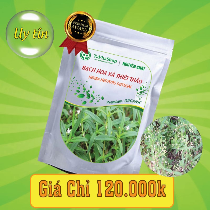 Tác dụng của bạch hoa xà thiện thảo đối với ung thư gan