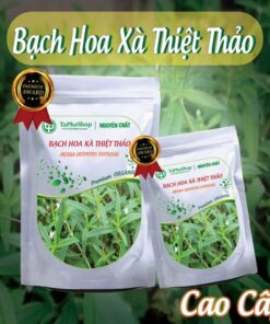 Hướng dẫn sử dụng bạch hoa xà thiện thảo hỗ trợ điều trị ung thư gan chuẩn khoa học
