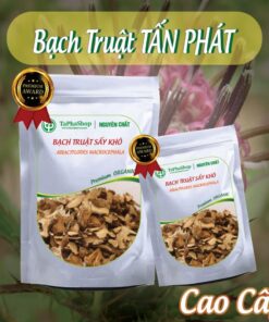 Công dụng của bạch truật đối với dạ dày 