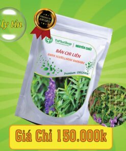Công dụng bán chi liên trong việc hỗ trợ điều trị ung thư hiệu quả