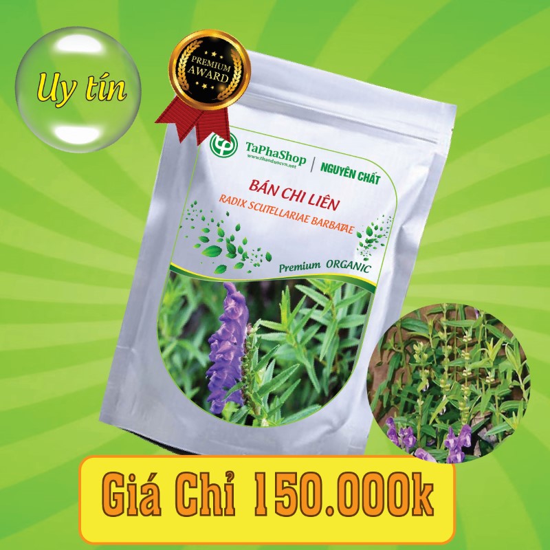 Công dụng bán chi liên trong việc hỗ trợ điều trị ung thư hiệu quả
