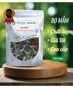 Bọ mắm của thảo dược Tấn Phát 