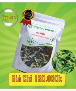 Công dụng của bọ mắm trong việc hỗ trợ điều trị xương khớp