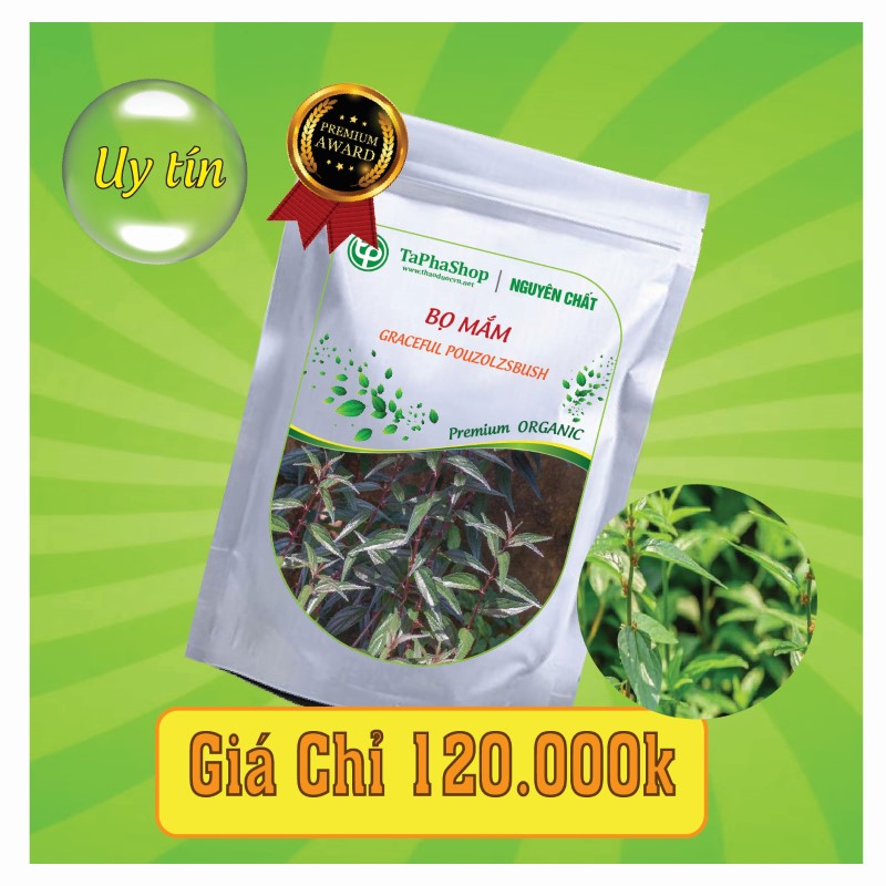 Công dụng của bọ mắm trong việc hỗ trợ điều trị xương khớp