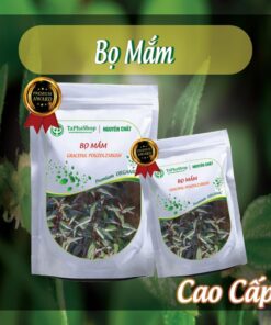 Cách sử dụng bọ mắm hỗ trợ điều trị xương khớp 