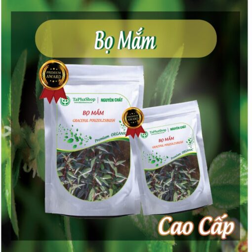 Cách sử dụng bọ mắm hỗ trợ điều trị xương khớp 