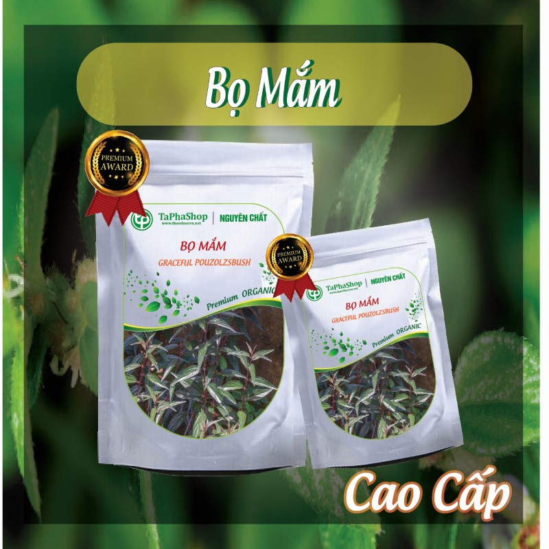 Cách sử dụng bọ mắm hỗ trợ điều trị xương khớp