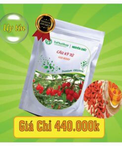 Công dụng nổi bật của câu kỳ tử đối với người bị tiểu đường 