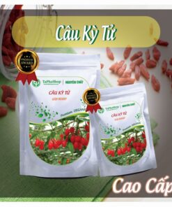 Hướng dẫn sử dụng câu kỳ tử hỗ trợ điều trị tiểu đường 