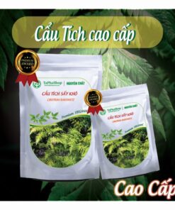 Cách sử dụng cẩu tích chữa thoát vị đĩa đệm an toàn và hiệu quả