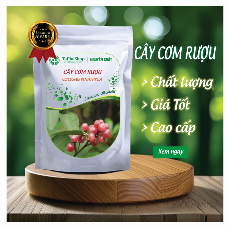 Cây cơm rượu Tấn Phát
