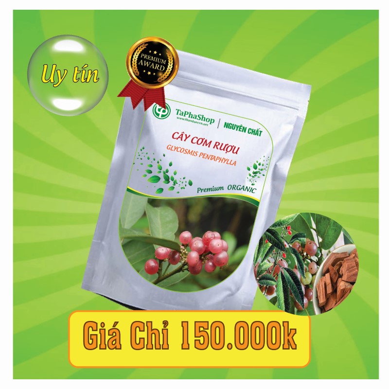 Công dụng cây cơm rượu trong hỗ trợ điều trị tiểu đường