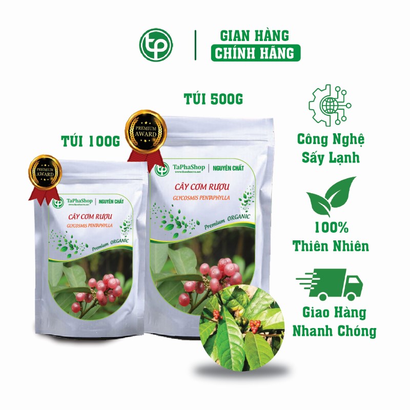 Hướng dẫn sử dụng cây cơm rượu cho người tiểu đường